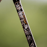 1 of 220 The Rattlesnake Spinning Rod - Limited Edition Rod — image 2