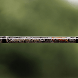 1 of 220 The Rattlesnake Spinning Rod - Limited Edition Rod — image 4