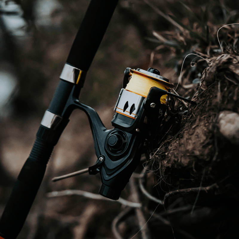 600STS Spinning Reel