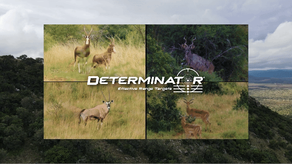 Determinator Targets - African Plains Game Safari Targets