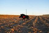 Therma Glow Targets - Wild Boar — image 4