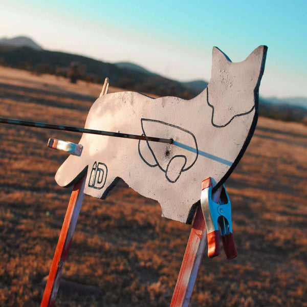 Coyote Infinity Target
