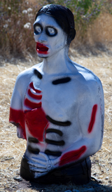 Delta McKenzie - 3D Zombie Backyard Archery Target — image 2