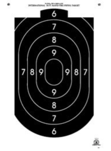 B-24 Action Pistol (T)|12"x 20"