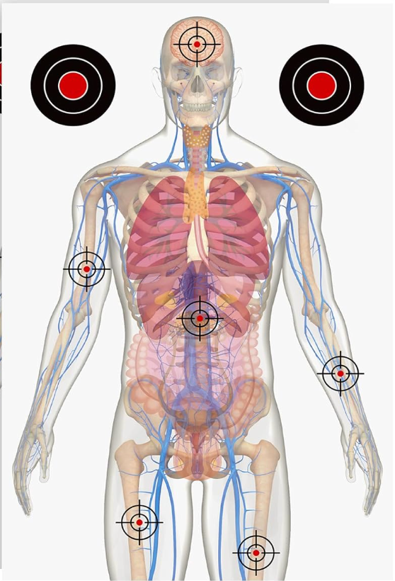 Medically Designed Human Silhouette Target- Classic Style/23x35 ...