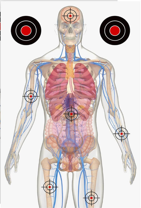Medically Designed Human Silhouette Target- Classic Style/23x35