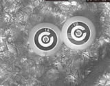 NIST thermal discs 1A and 1B in a grayscale thermal view, lying on the ground