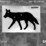 IR Tools 25M pasters on a coyote target, seen through a thermal sight