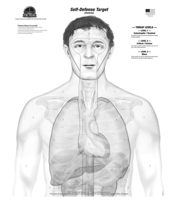Gray-Scale Anatomy Target Pad (25 Pack) 19" x 25"