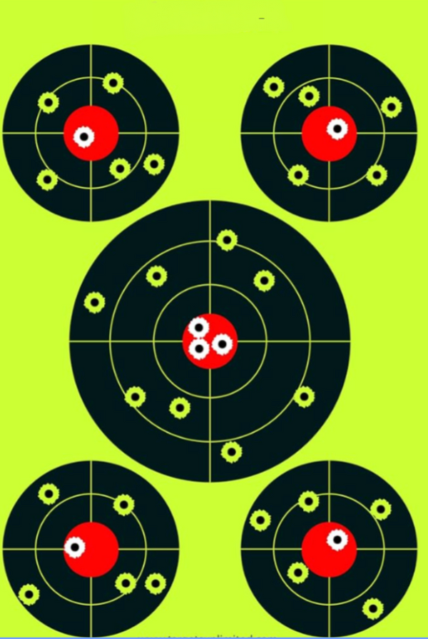 Splatter Pro 5 Bullseye Targets - 12"x18"