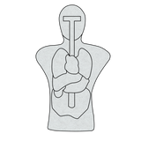 Infinity Torso Target - Anatomical — image 2
