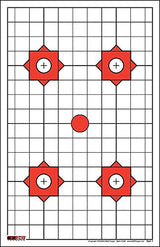 200 EZ2C Targets Most Popular 5 Rifle Styles Paper Targets Bundle 11"x17" USA Made
