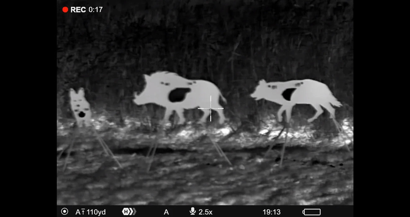 Therma Glow Targets - Walking Coyote