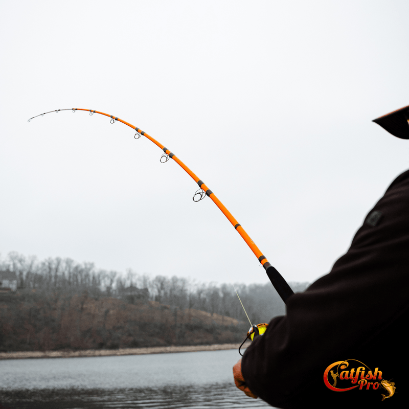Tournament Series Spinning Rod