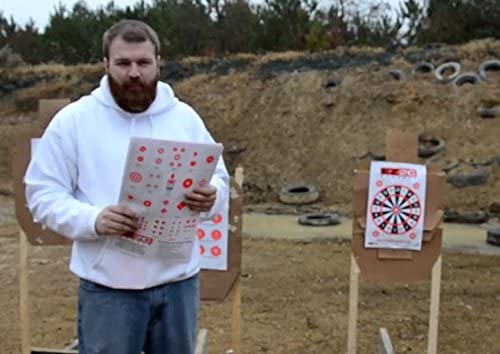 Targets Dart Board Style 15 (25 Pack)