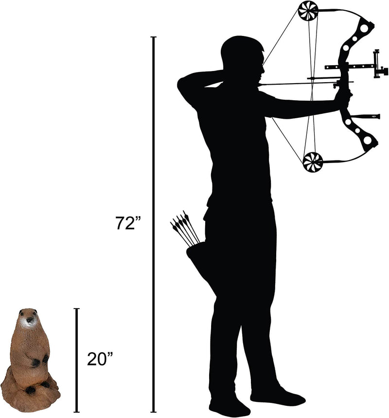 Delta McKenzie - Backyard 3D Woodchuck Target