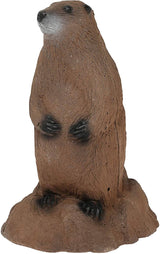 Delta McKenzie - Backyard 3D Woodchuck Target — image 3