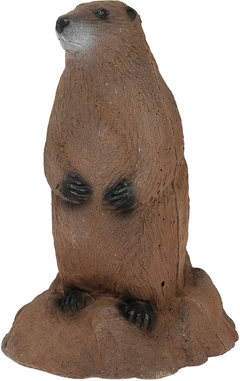 Delta McKenzie - Backyard 3D Woodchuck Target
