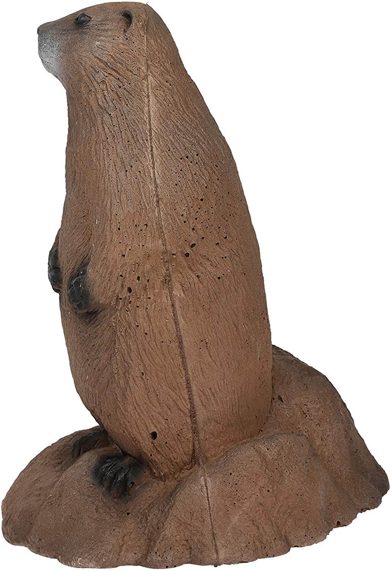 Delta McKenzie - Backyard 3D Woodchuck Target