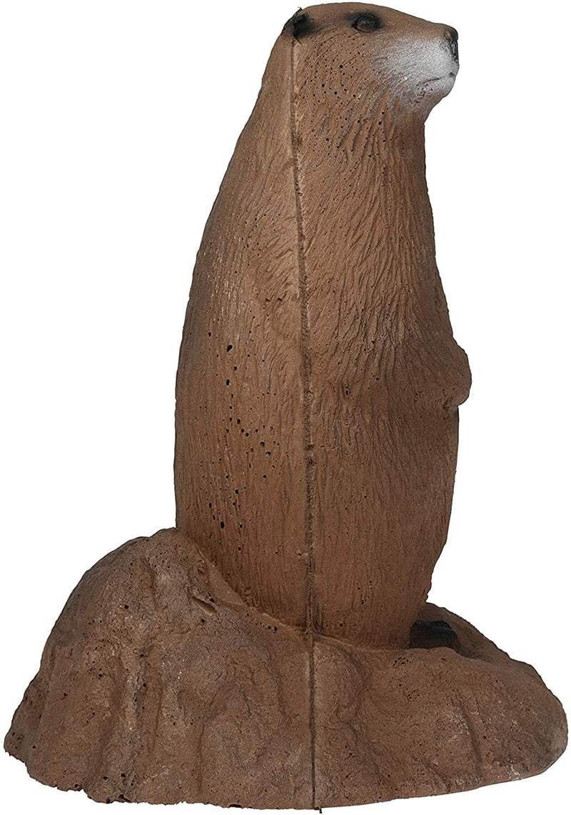 Delta McKenzie - Backyard 3D Woodchuck Target