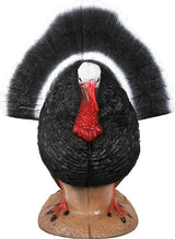 Delta McKenzie - 3D Strutter Turkey Target — image 2