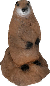 Delta McKenzie - Backyard 3D Woodchuck Target — image 6
