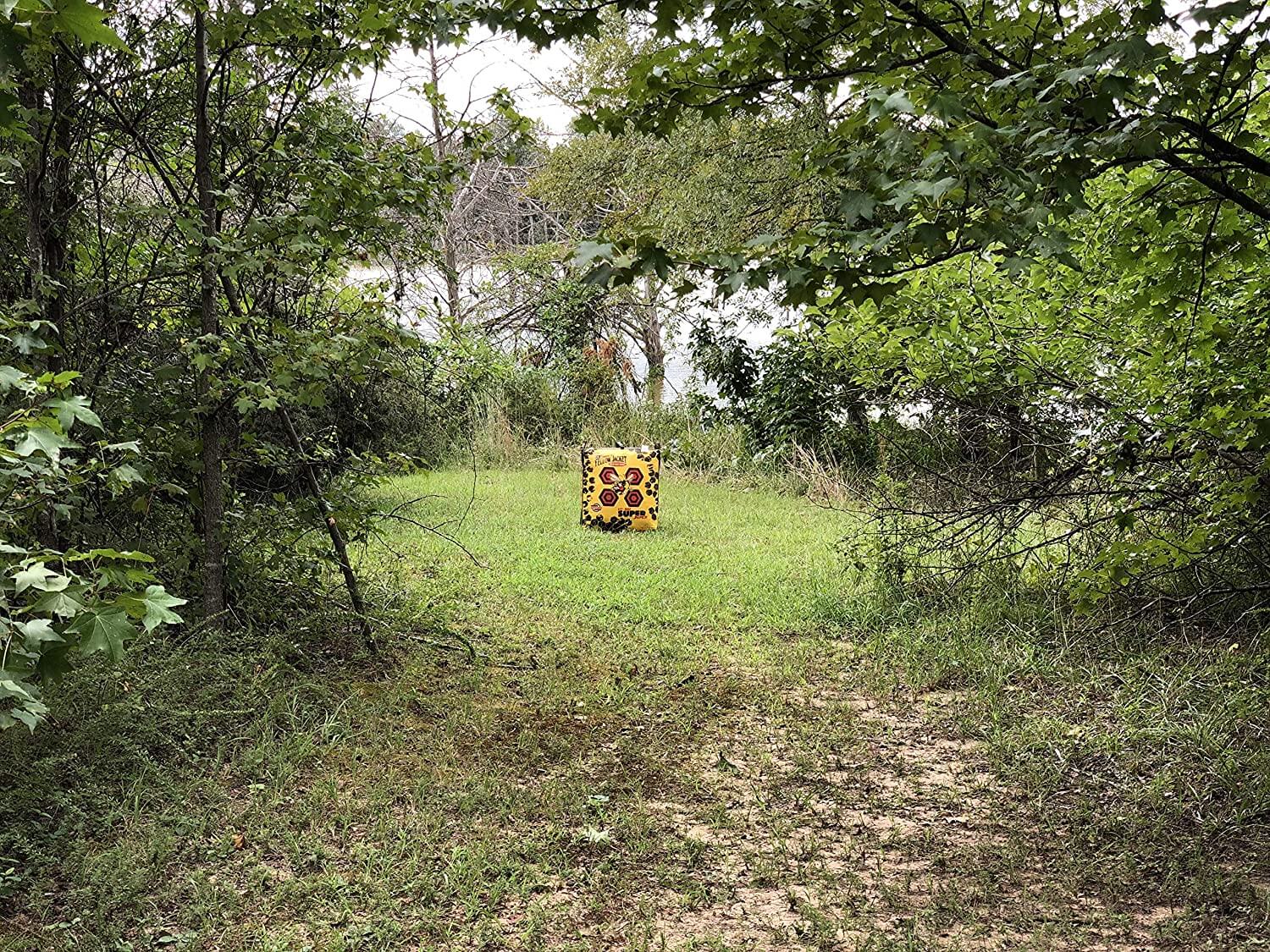 Field Point Bag Archery Target