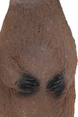 Delta McKenzie - Backyard 3D Woodchuck Target — image 8