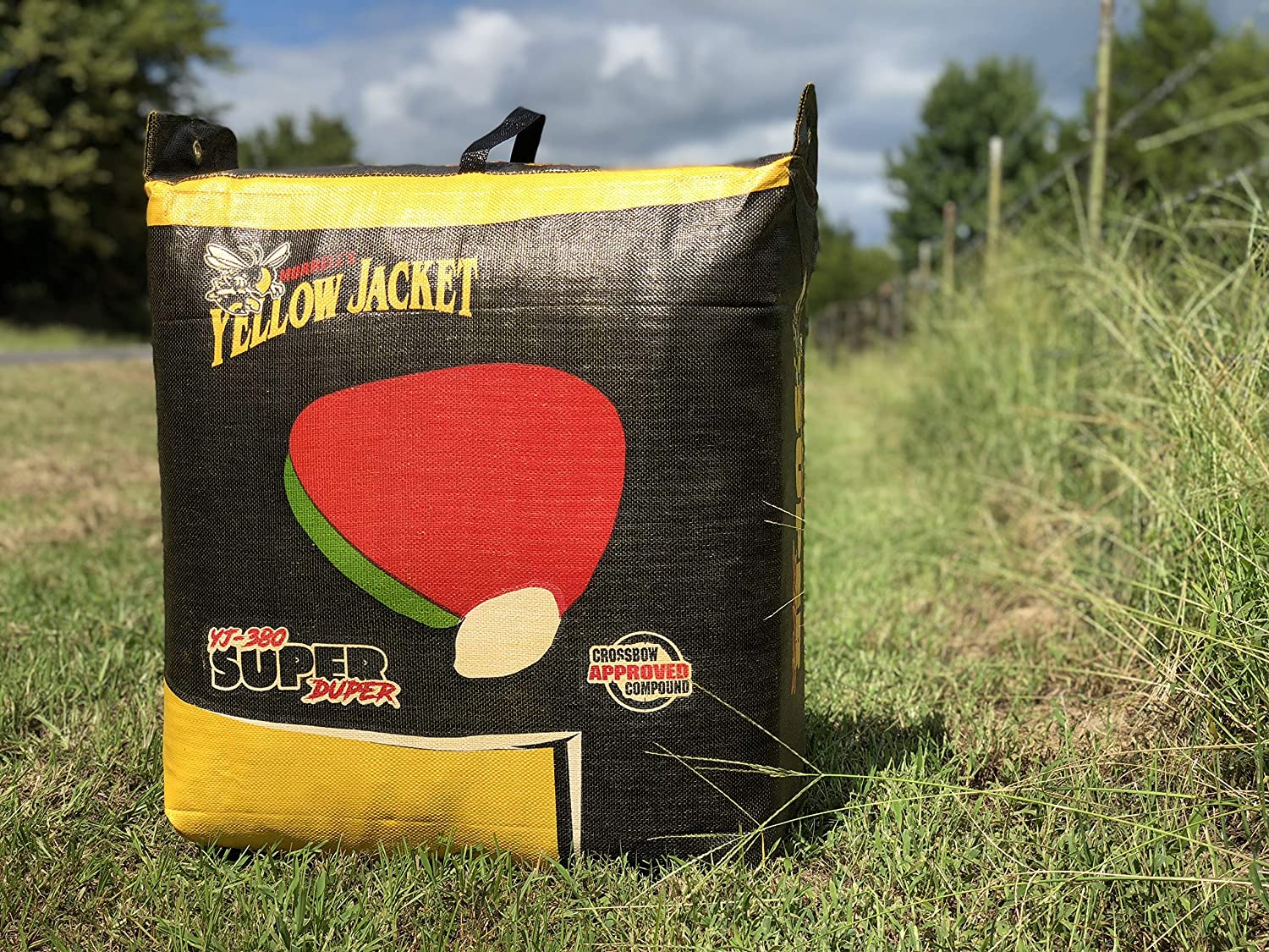 Field Point Target Field Point Bag Archery Target – Targets Unlimited