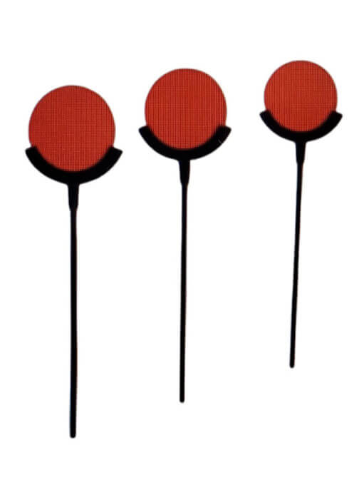 Champion target holder