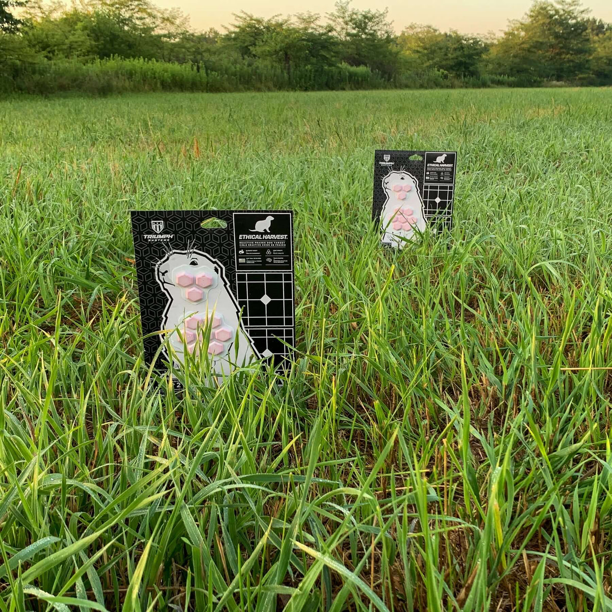 Ethical Harvest Prairie Dog Reactive Target - 2PK