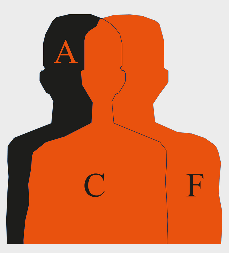 SCT Targets (to be used exclusively with SCT Pro Target System by Romtes)
