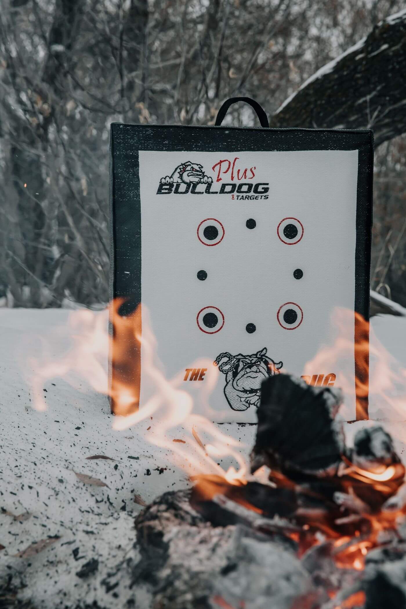 Bulldog Doghouse Pug Archery Target Plus