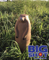 Pro Hunter Raccoon and Groundhog Combo Pack — image 3