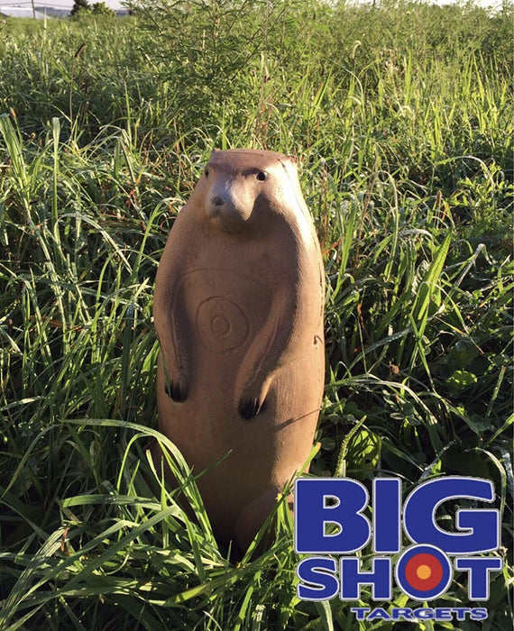 Groundhog Paper Rifle Target Pro Hunter Raccoon and Groundhog Combo Pack — Targets Unlimited
