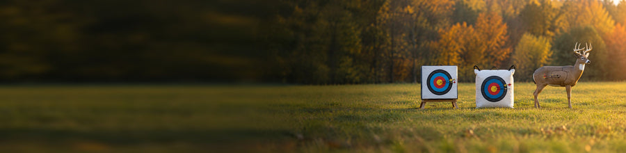 A block target, a bag target and a 3D deer archery target in a row on a field at sunset