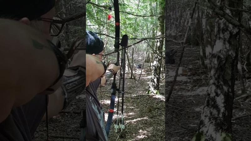 Delta McKenzie 3D Racoon Backyard Target — Target Reviews video