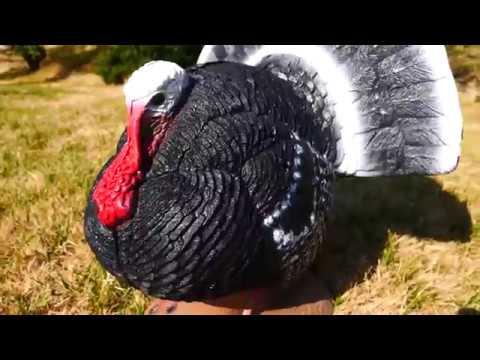 Delta McKenzie 3D Strutter Turkey — Target Reviews video