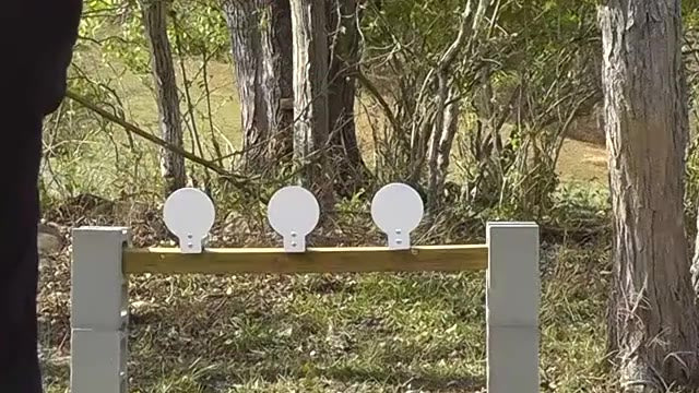 DIY Auto-Reset 8" Round Plates review video