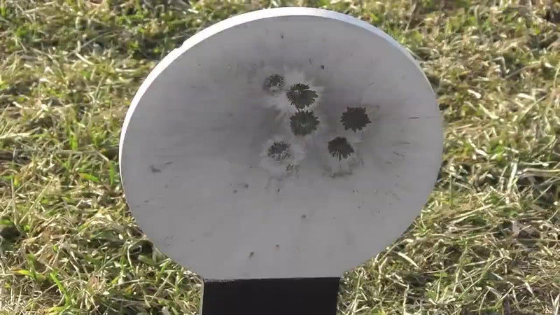 Stake-N-Shoot - Colt Speed Plate - Rifle Rated review video